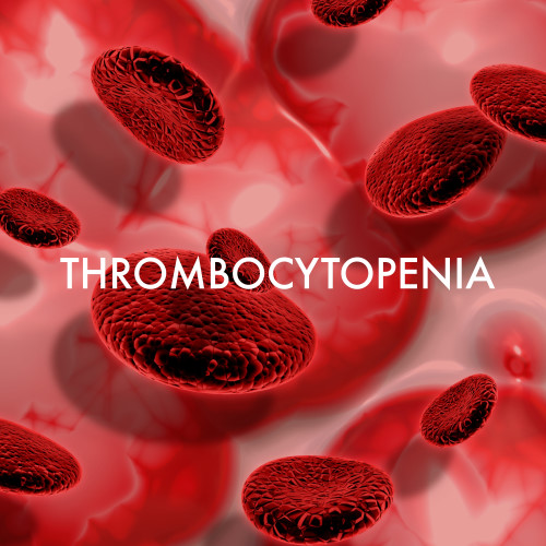 เกล็ดเลือดต่ำ Thrombocytopenia